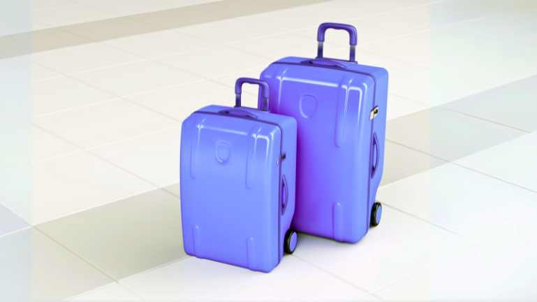 Which bag is suitable for flight